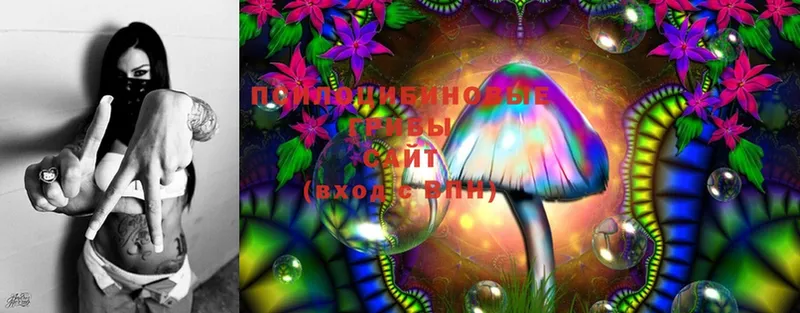 Галлюциногенные грибы Magic Shrooms  Белая Холуница 